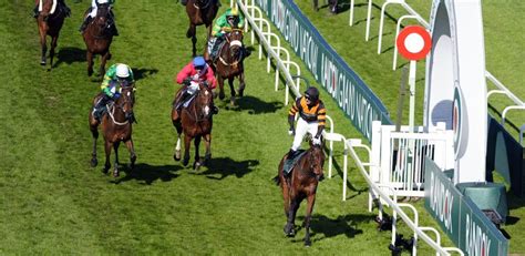 virtual grand national 2022 result